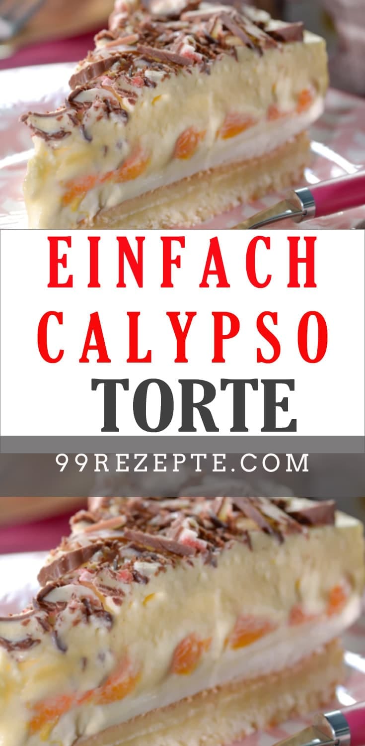 BACKOFENSUPPE SUPER EINFACH UND LECKER - 99 rezepte