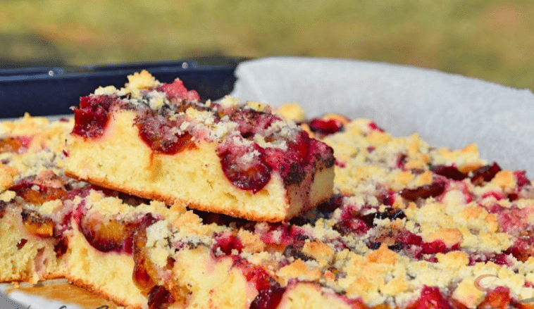 Blitzschneller Blechkuchen mit Pflaumen - 99 rezepte