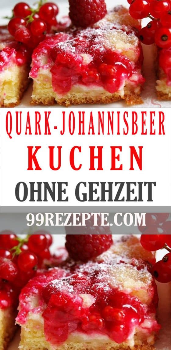 Leckerer Quark-Johannisbeer-Kuchen ohne Gehzeit - 99 rezepte