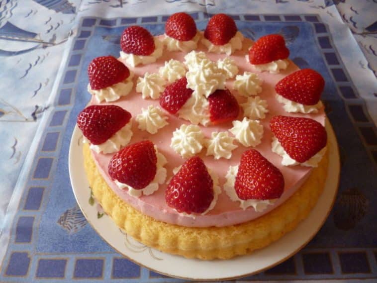 BLITZ – TORTENBODEN - 99 rezepte