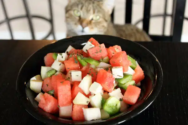 Melonen-Feta-Salat low carb