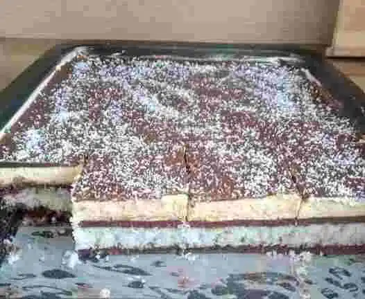 : Entdecken Sie das verführerische Rezept der Kokosprinzessin – ein köstliches Dessert, das die Süße von Kokosnuss mit einem schokoladigen Touch kombiniert.