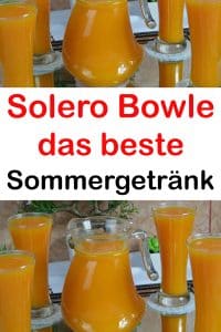 Solero Bowle, das beste Sommergetränk !