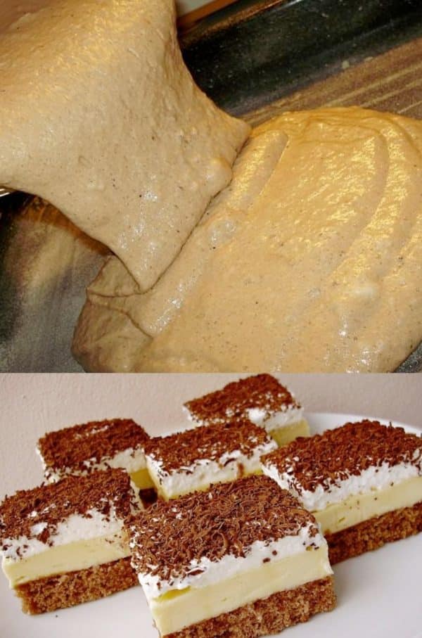 Schweizer Apfelkuchen mit Pudding - 99 rezepte