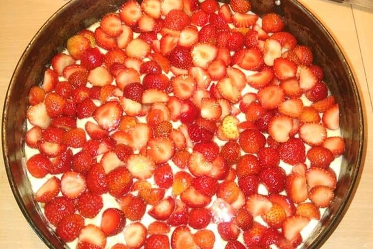 Erdbeer Rhabarberkuchen mit Joghurt: Der Teig gelingt sehr luftig und zart