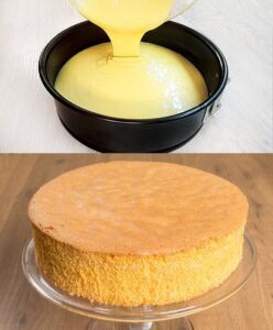 Biskuitboden (von einem Bäckermeister,der leider verstorben ist)