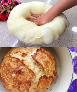 brot backen ohne gehzeit