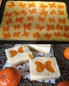 Käse Mandarinen Kuchen Blech