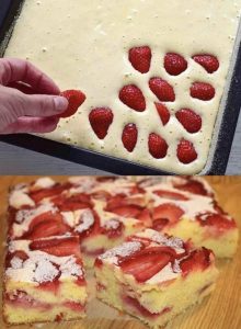 biskuitkuchen mit erdbeeren