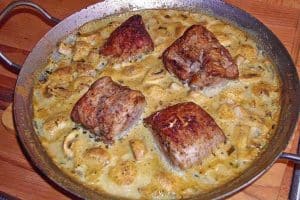 filetpfännchen mit frischkäse senfsauce