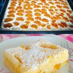 Buttermilchkuchen mit Mandarinen