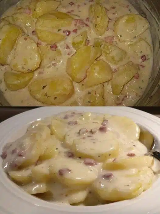 Béchamel - Kartoffeln