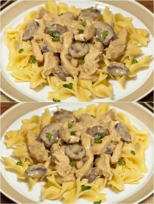 Mhmmm schmeckt super! - Fettuccine mit Hähnchenbrust, Knoblauch und Pilzen