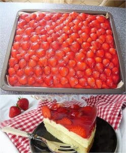 erdbeerkuchen vanillecreme