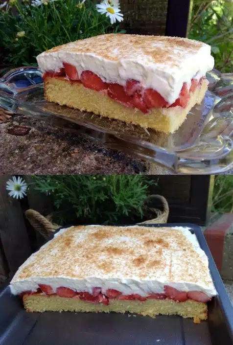 erdbeer fanta kuchen