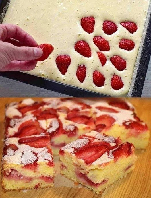 Erdbeer Biskuitkuchen mit frischen Erdbeeren auf einem weißen Teller