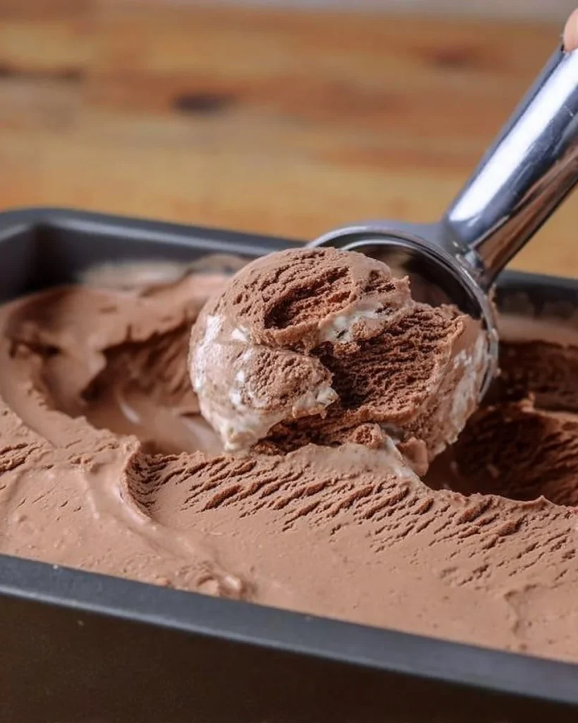 Schokoeis ohne Eismaschine in einer appetitlichen Schüssel serviert