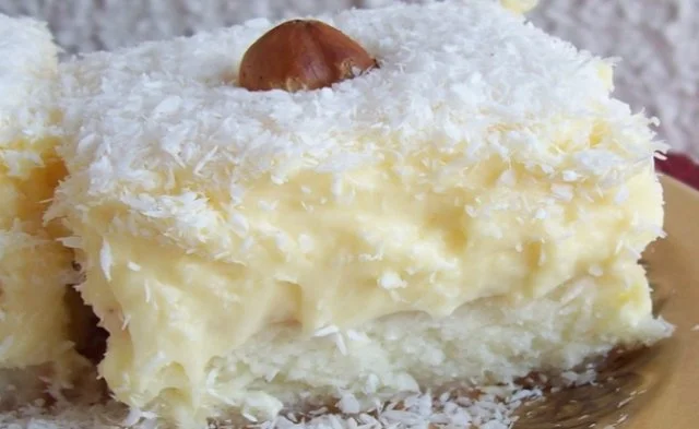 Leckerer Kokoskuchen mit Vanillepudding auf einem Teller serviert.